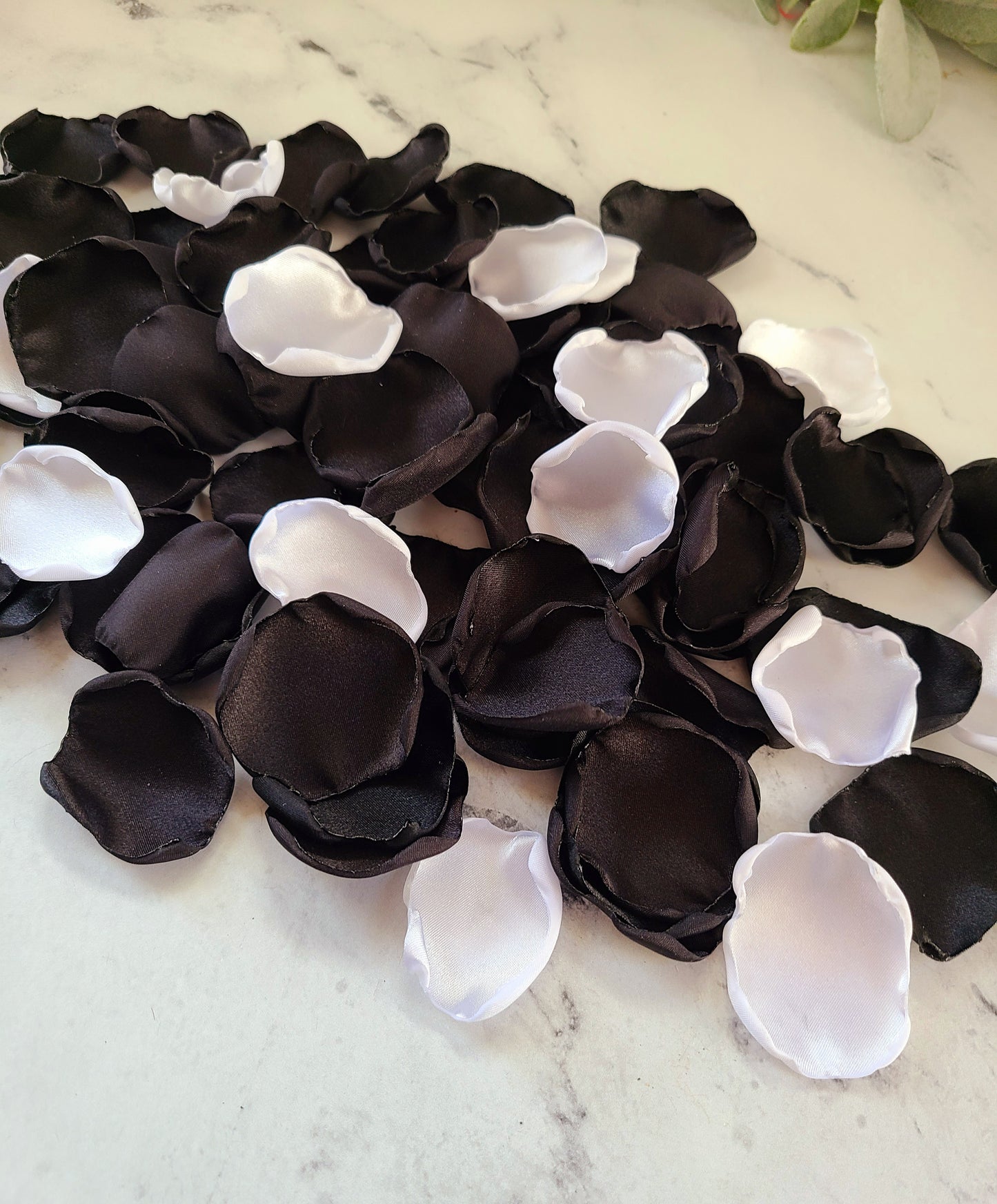 Black Rose Petals for Gothic Wedding Decor, Custom Halloween Table Confetti, Flower Girl Petals