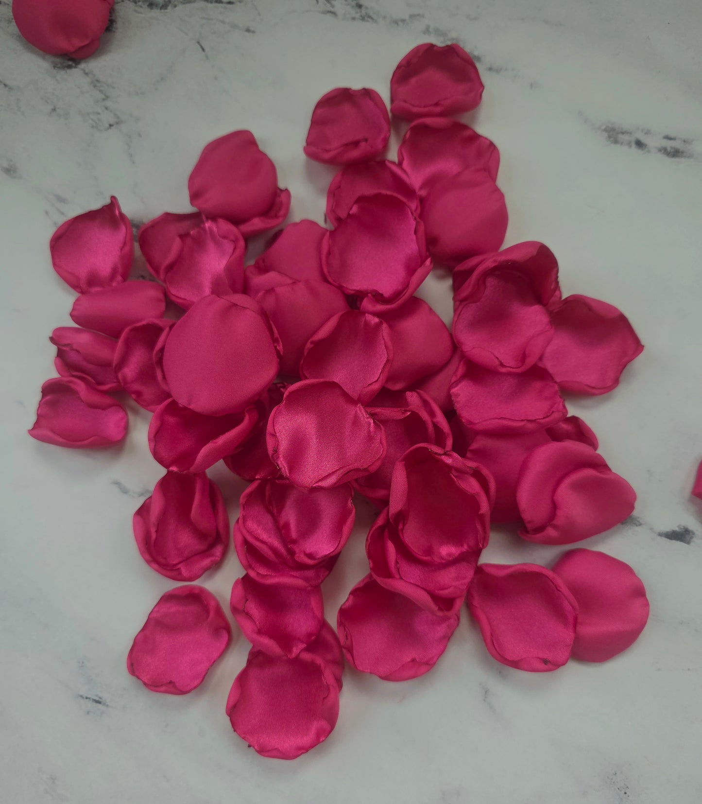 Fuchsia Pink Rose Petals