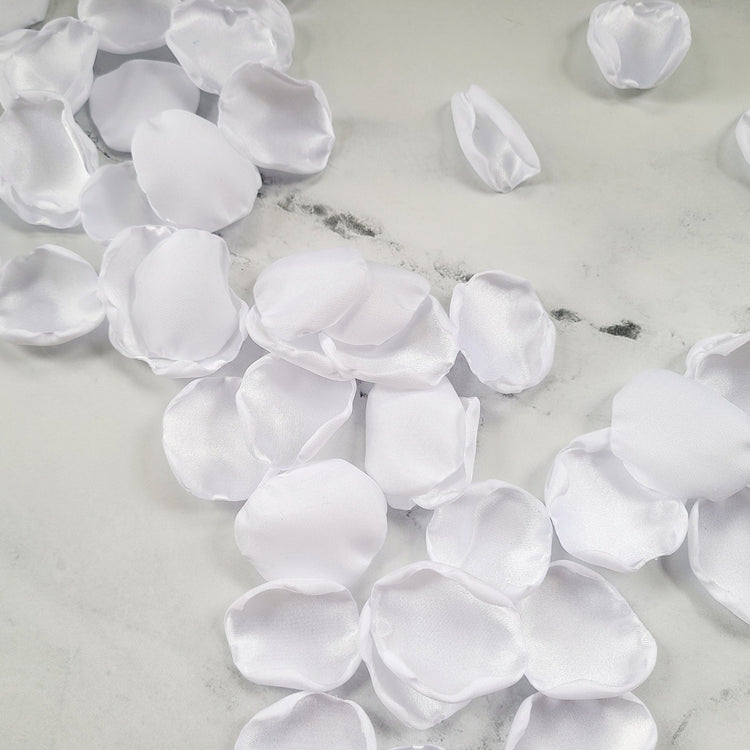 White Rose Petals