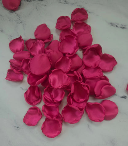 Fuchsia Pink Rose Petals